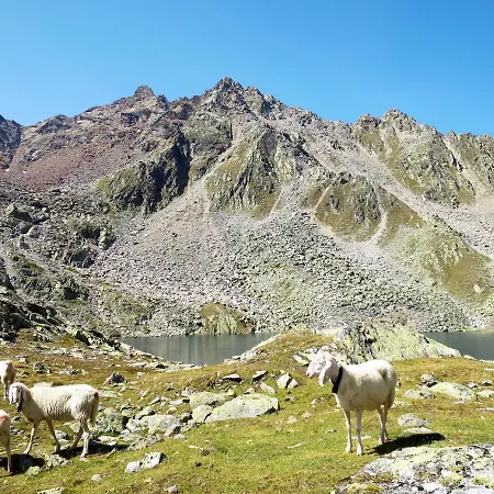 アパート Moosalm By Interhome *